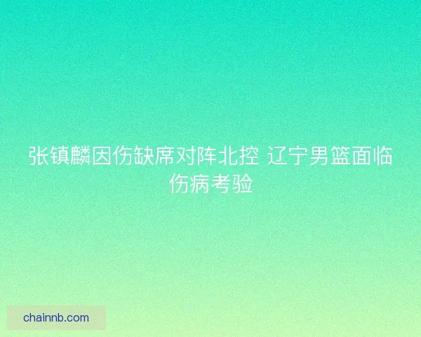 张镇麟因伤缺席对阵北控 辽宁男篮面临伤病考验